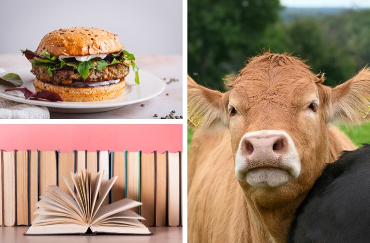vegan burger, books, and cow