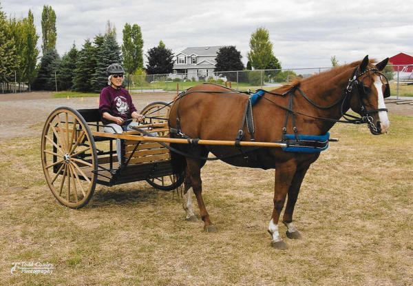 Belle's Cart
