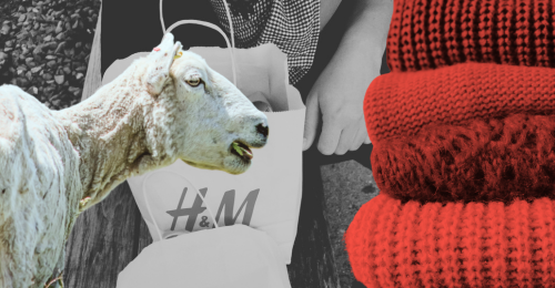 sheep, wool sweaters, and H&M bags