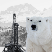 oil drilling rig and polar bear