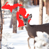 deer and Michigan