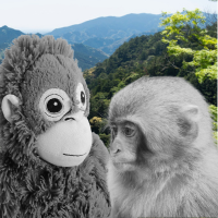 plush orangutan and baby macaque