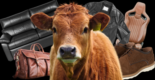 cow and items made of skin