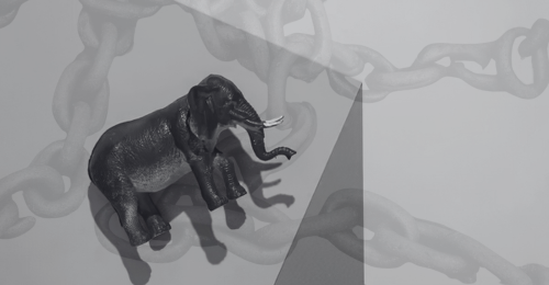 toy elephant and chains