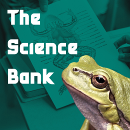 frog, frog diagram, and text reading 'The Science Bank'