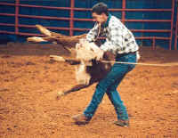 Cattle Exploitation - Rodeo - Calf Roping - 06