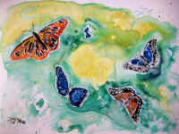 dm-butterflies