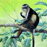 Wolf's Guenon monkey painting