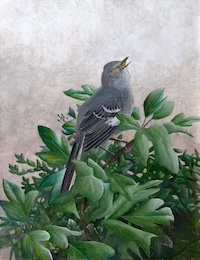 bird painting