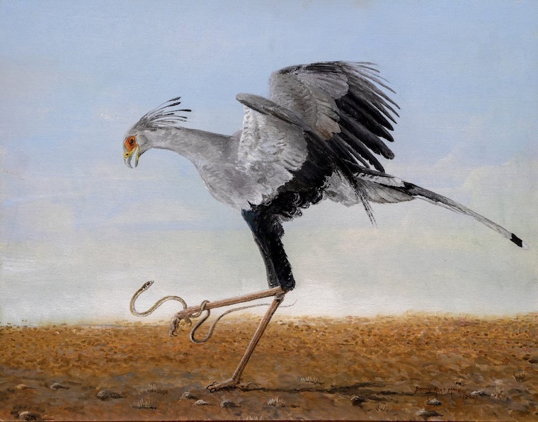 bird painting