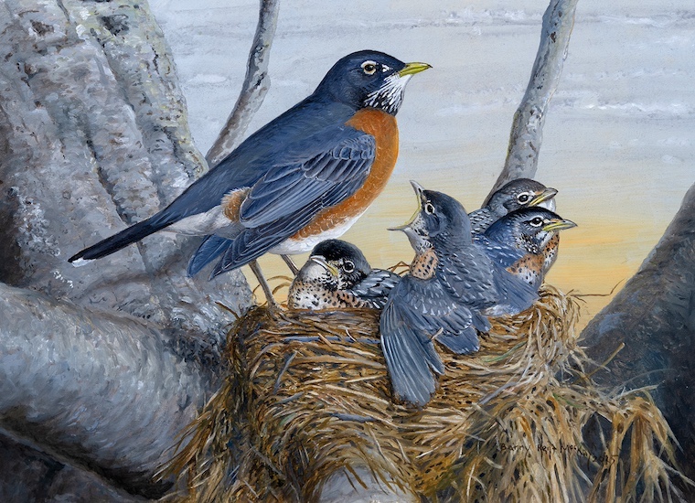 bird painting
