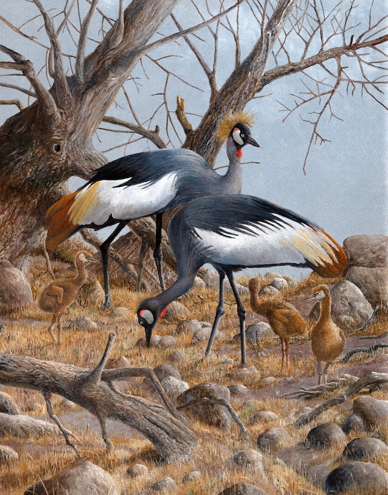 bird painting