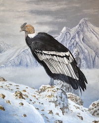 bird painting