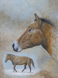 painting of Przewalski's Horse