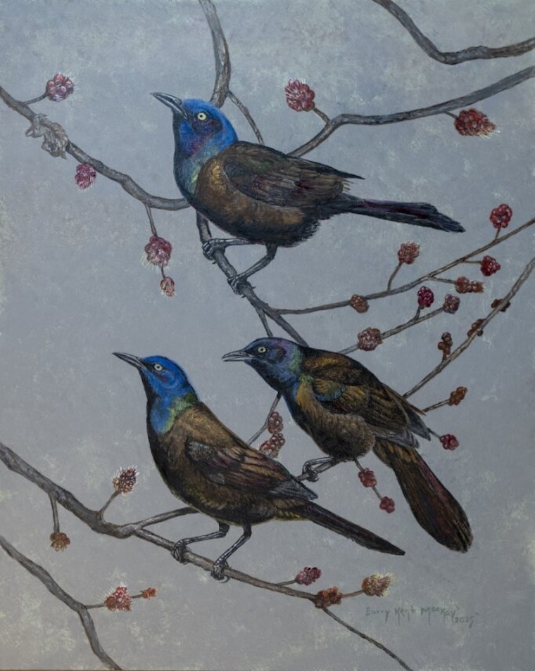 bird painting