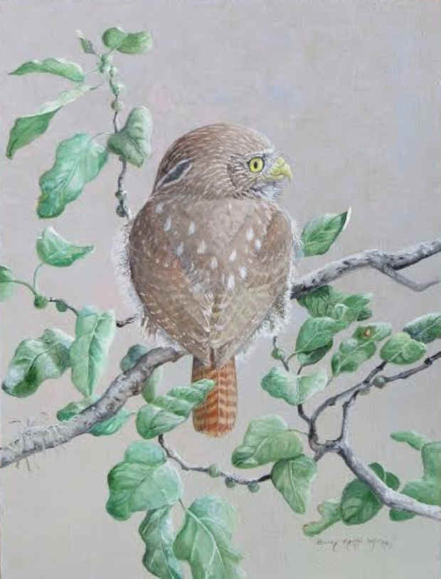 Barry Kent MacKay art painting