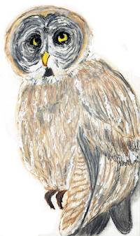 Artwork - 030 Sad Owl