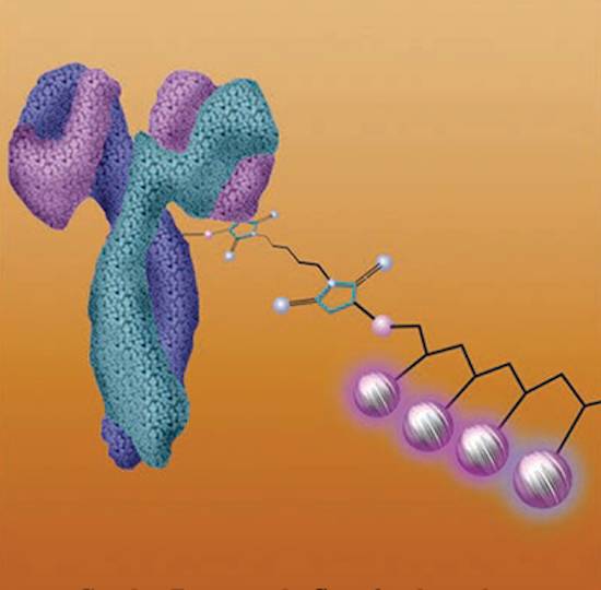 mass cytometry