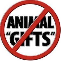 gifting animals