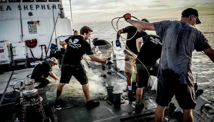 Sea Shepherd crew