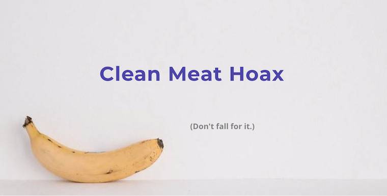 clean meat hoax