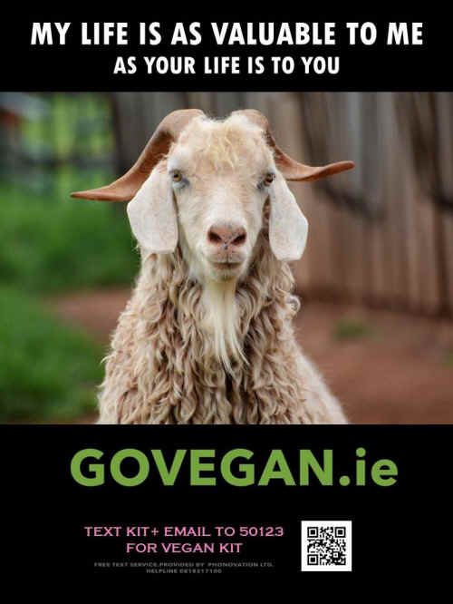 go vegan Ireland