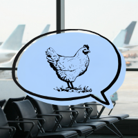 airport, chicken inside speech bubble