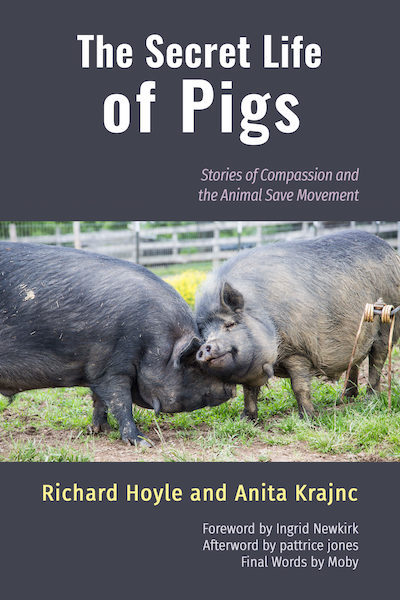 Secret Life of Pigs