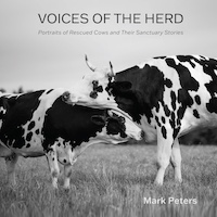 Voices of the Herd book cover