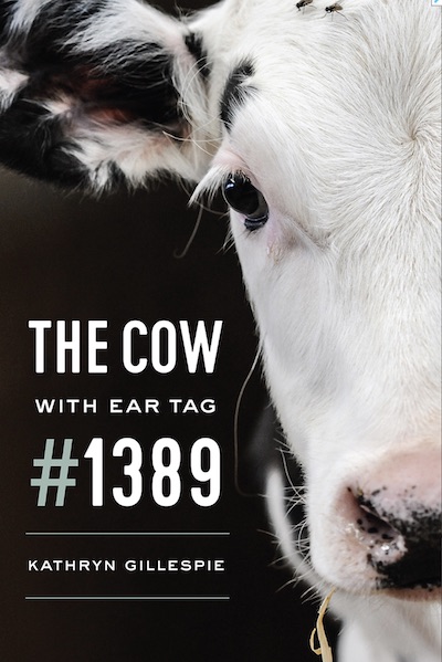 The Cow 1389