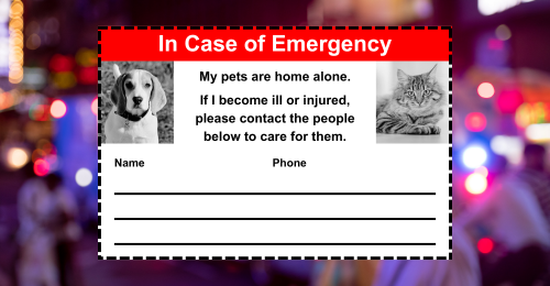 emergency alert card