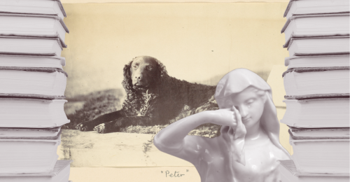 books, dog, and figure