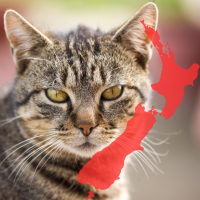 cat and New Zealand