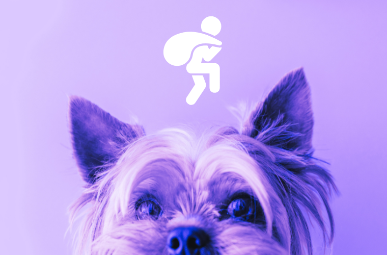 dog and burglar icon