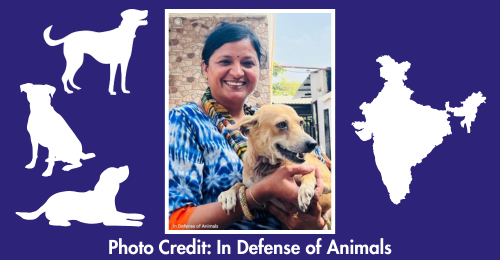 human and dog