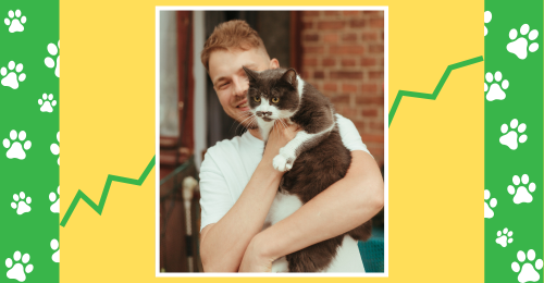 magazines and fox in cage