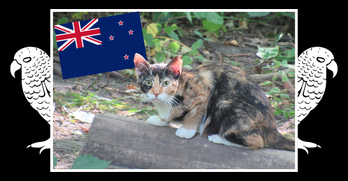 cat, flag of New Zealand, and keas