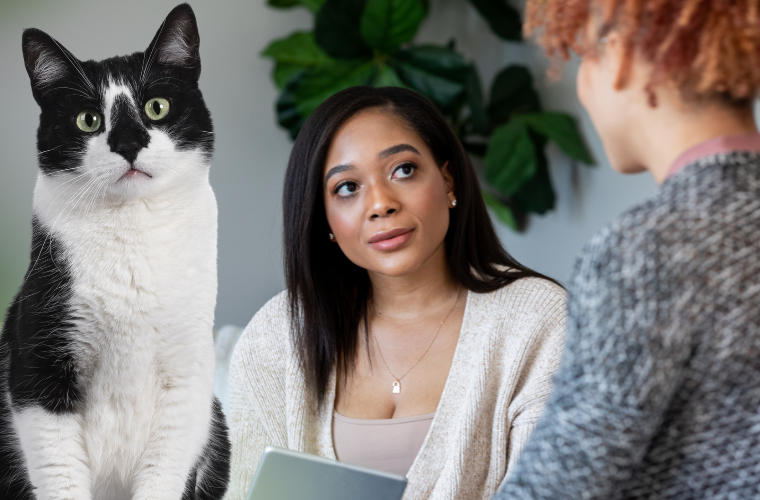 therapist, patient, and cat
