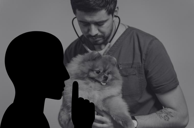 veterinarian, dog, and image of person with finger to mouth