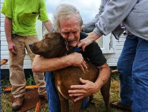 animal companionship