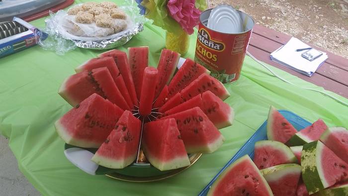 watermelon Coffey Grounds summer 2016