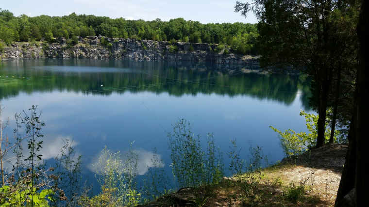 Coffey Grounds June 2015