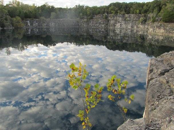 Coffey Break springtime