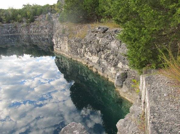 Coffey Break Springtime