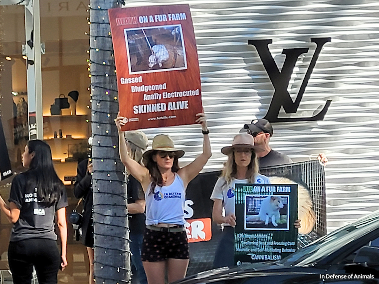 anti-fur demonstrators 