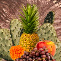 image of fruit, cactus, and mycelium