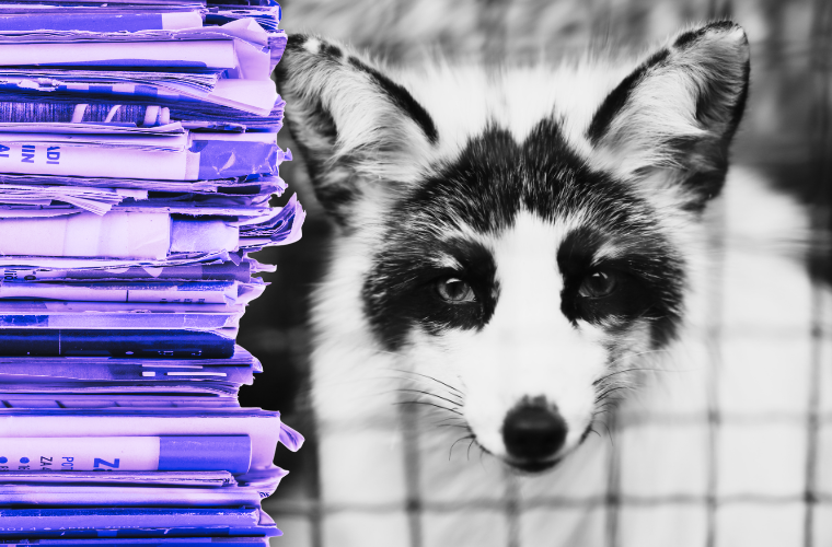 magazines and caged fox