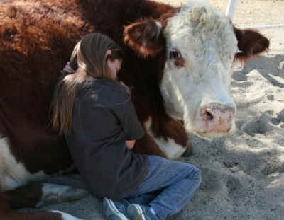 God’s Animals: Sentient Creatures or Mere Commodities?