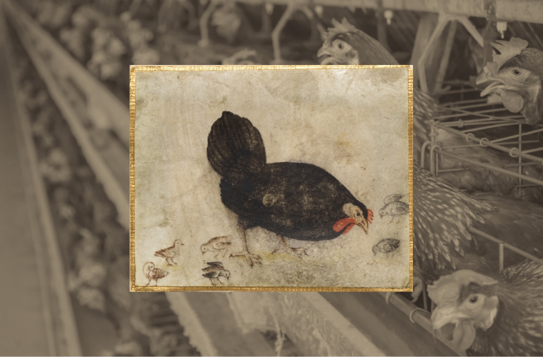 hens in cages and painting of hen and chicks