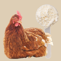 hen and protein powder